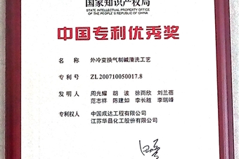 中國專利優秀獎