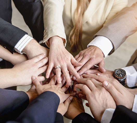 領(lǐng)導(dǎo)團隊